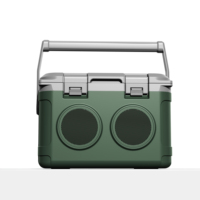 Glacière portable isotherme en PE de 21 L avec haut-parleur, seau à vin et glacière audio