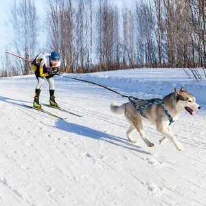 Harnes anjing kereta luncur Santa baru dicetak adalah produk hewan peliharaan jatuh