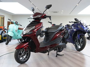 CKD SKD 10 pulgadas Easy Rider <span class=keywords><strong>Scooter</strong></span> eléctrico 600W/800W 50 km/h Velocidad máxima Freno de disco Motocicleta eléctrica barata - Product Image 4