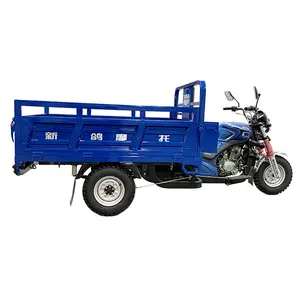 Triciclo rickshaw de 3 ruedas, 200cc, coche/Triciclo de carga, precio barato