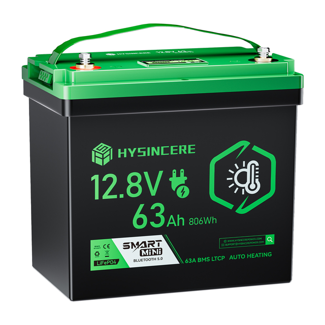 US Stock 12V 24v 100Ah 200ah 300ah Lithium Battery Pack EV Cells Smart BMS Built 12.8V 25.6V Lifepo4 Battery for Boat EV RV