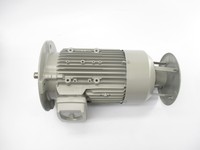 Moteur asynchrone triphasé 460V 1LE10030DB302FA4Z 1LE1003-0DB30-2FA4-Z