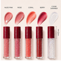Gloss à lèvres bio longue tenue pour usage quotidien, effet repulpant, tube rayé avec logo personnalisé, gloss à lèvres personnalisé