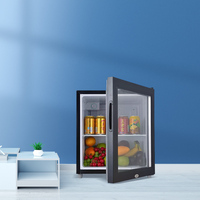 SC-50L/75L/110L petite vitrine de porte en verre bière boisson refroidisseur usage domestique réfrigérateur intelligent AC DC réfrigérateur réfrigérateur