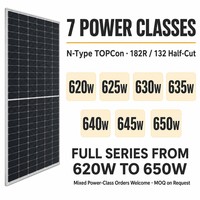 Panneau solaire bifacial TOPCon de type N 650W 1500VDC 132 cellules pour l'installation de projets de centrales électriques au sol à grande échelle