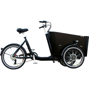 Bicyclette cargo électrique famille 36V, 3 roues, pour mère et bébé, enfants ou animaux de compagnie - Product Image 1