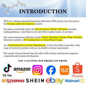 Collar Personalizado MULA, Fabricante de Joyería Personalizada, Diseño de Collar DIY, Logotipo, Plata 925, Latón, Platino, Joyería Chapada en Oro - Product Image 4