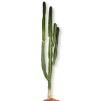 Grand Cactus de 3.2 mètres de haut, plante du désert avec haute simulation et sensation tactile réaliste, pilier immortel