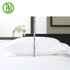 Poliéster lado cama almohada <span class=keywords><strong>microesferas</strong></span> lado durmiente Pro mejor pluma europea <span class=keywords><strong>de</strong></span> grupo llenar <span class=keywords><strong>almohadas</strong></span> tamaño para comprar - Product Image 2