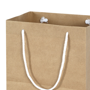 <b>Biodegradable</b> Durable Recyclable Eco-Friendly Food Takeout Kraft <b>Paper</b> Shopping Bag UV Coated Classic Style Cotton Handle - Product Image 6