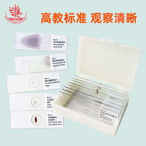 Dix lamelles de spécimens de parasites, spécimens classiques teintés pour l'enseignement supérieur et la recherche, spécimens de parasites clairs. - Product Image 3