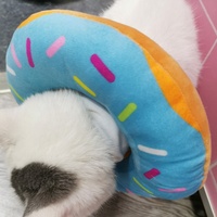 Collier élisabéthain pour chats et chiens - anti-léchage, protège-tête chirurgical souple en forme de donut, emballé sous vide