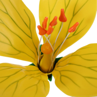 Modelo de Flor de Colza en PVC, Versátil y Duradero, para Clases de Biología y Decoraciones, Juguete de Anatomía y Herramienta de Enseñanza