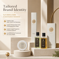 Kit dentaire de luxe haut de gamme pour hôtel, ensemble d'articles de toilette jetables, brosse à dents, peigne, kit de rasage, savon, bonnet de douche, logo personnalisé OEM, chambre d'hôtes