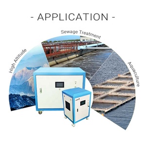Generador de Oxígeno de Gran Flujo de 20L Personalizado AERTI, Carcasa de Metal Industrial con Recubrimiento en Aerosol para Invernadero - Product Image 6