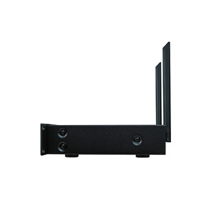 Tianlang Audio <b>Wireless</b> <b>Microphone</b> M-300 Dual Port Dynamic For KTV Bars Stage Outdoor Use - Product Image 1