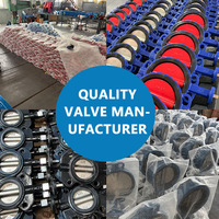 Válvula de Retención Manual de Acero Inoxidable Tipo Wafer con Resorte y Sellado EPDM