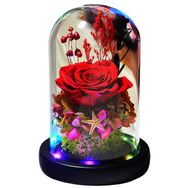 Mom Gift for Mothers Day Valentine Rose Gift Decorations Beauty Gift Romantic Rose Immortal Flower in Glass Dome with Lamp