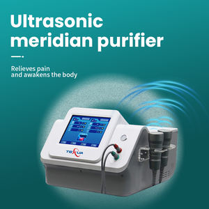 <span class=keywords><strong>Machine</strong></span> à ultrasons thérapeutique avec technologie Ultrawave Dispositif antidouleur certifié CE pour la physiothérapie équine et canine - Product Image 2