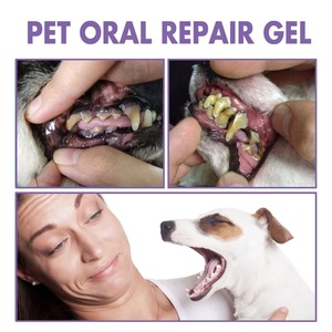 Professional <b>Pet</b> Oral Repair Gel Removes Dental Stains Strengthens Teeth for Dogs and Cats - Product Image 4