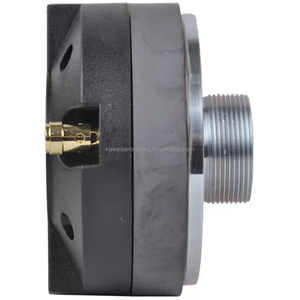 Loa Tweeter Peak Pro Audio 120 Mm HF 44.4 W Bộ Điều Khiển Còi Nén 1.75 Inch Kèm Màng Chắn Titan - Product Image 4