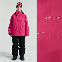 Veste de ski pour homme coupe-vent personnalisée, style nordique, unisexe, chaude, imperméable, professionnelle pour le ski, anorak pour homme