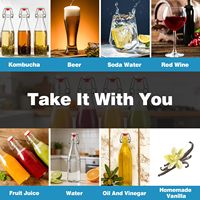Bouteilles en verre à bouchon basculant 16 oz, lot de 2, couvercle hermétique de qualité alimentaire, compatibles diffuseur de roseaux, fermentation, kombucha, méad, coquito