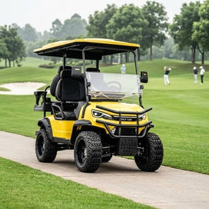 Ventes Flash : Voiturette de Golf Classique de Luxe Motorisée aux États-Unis - Product Image 4