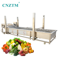 Automatische roestvrijstalen fruit- en groentewasmachine met motor voor noten, capaciteit 500-1000 kg/uur