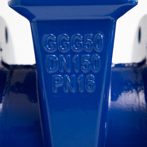 Задвижка фланцевая с мягким уплотнением DN150 PN16, большого размера - Product Image 4