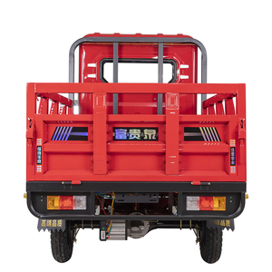 Tricycle électrique personnalisé pour le marché coréen avec carrosserie fermée, moteur sans balais, capacité de charge de 600 kg, <span class=keywords><strong>transport</strong></span> de marchandises - Product Image 2