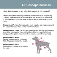 Harnais anti-évasion pour chien, respirant, réglable, réfléchissant, anti-évasion, avec sangle supplémentaire pour chiens de taille moyenne à grande