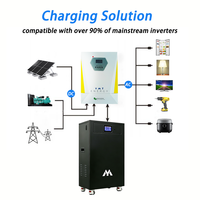 Système de stockage d'énergie domestique tout-en-un hors réseau hybride 16 kWh 32 kWh, onduleur hybride 6,2 kW 11 kW, batteries lithium-ion LiFePO4 51,2 V