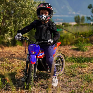 <span class=keywords><strong>Moto</strong></span> électrique à 2 roues T 36V, <span class=keywords><strong>mini</strong></span> <span class=keywords><strong>moto</strong></span> de course avec moteur de 500W, <span class=keywords><strong>Apollo</strong></span> RFN Warrior Kids SX-E500 - Product Image 2
