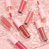 Gloss à lèvres miniature rose brillant hydratant pour test de couleur, rouge à lèvres lumineux longue durée, brillant scintillant, kit de gloss à lèvres nude