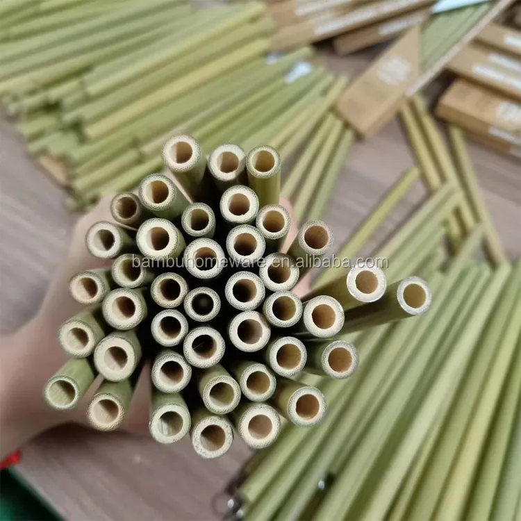 Pajita de bambú reutilizable, eco-friendly, logotipo personalizado con cepillo