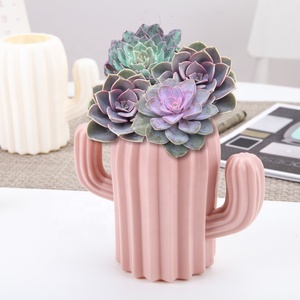 Creative Student Office Multi-functional Fashion Storage tank Storage Box Pen <strong>Holder</strong> <strong>Lovely</strong> Cactus Pen <strong>Holder</strong> - Product Image 6