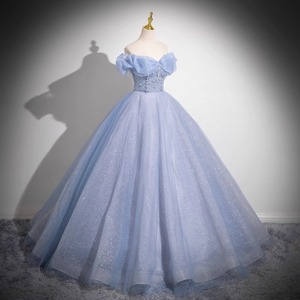 Off Shoulder Light Blue Tutu Dress Long Skirt Princess Style Stage Performance Women Adult - Product Image 3