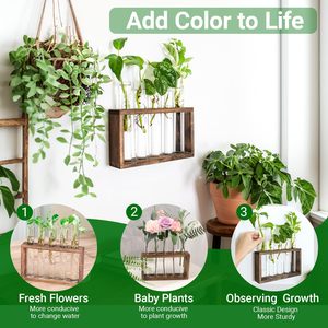 Terrarium Eco-Friendly Round Garden Planter <b>Wooden</b> <b>Stand</b> <b>Plant</b> Flower/Green <b>Plant</b> Vietnam Water <b>Plants</b> - Product Image 4