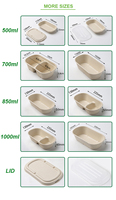 Bol à salade jetable écologique robuste de 700 ml en pulpe de bagasse de canne à sucre, conteneur carré biodégradable avec couvercle en bagasse