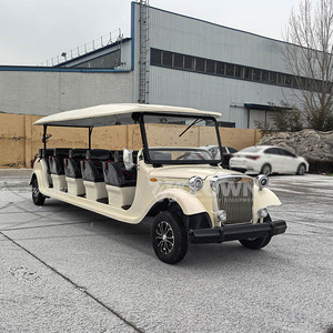 Classic Electric Sightseeing Vintage Car-5/<b>8</b>/11/14 Seats Antique Retro Design for Sale - Product Image 4