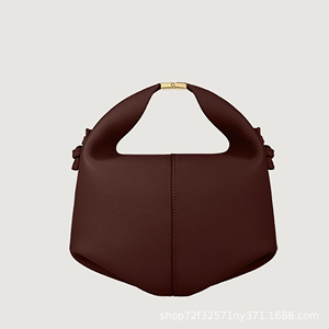 Sac Polène Niche Premium en Cuir Véritable pour Femme – Sac à Main Polyvalent, Porté Épaule ou Croisé - Product Image 4