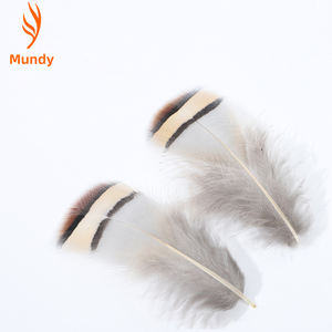 Accessoires de bijouterie artisanaux, 100 pièces, plumes de <span class=keywords><strong>faisan</strong></span> chukar naturelles de 4 à 8 cm, petite taille, plumes de <span class=keywords><strong>faisan</strong></span>, décoration pour la fête des mères, décoration de mariage - Product Image 5