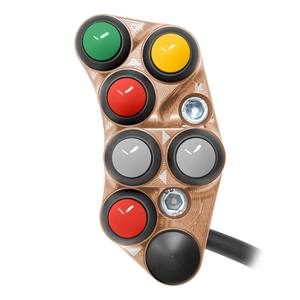 Interrupteur de guidon gauche pour Triumph Street Triple 765 R (Cuivre) - Product Image 1