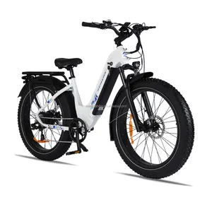 Carregador de bicicletas elétricas apenas em armazém dos EUA, fabricante de bicicletas elétricas, revendedor
