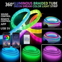 Lampu LED RGB Pintar 33Leds/m dengan Pola Jala 360 Derajat Dapat Diatur IP65 Tahan Air untuk Luar Ruangan Konektivitas USB