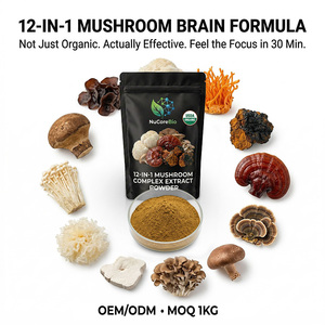Marque Privée OEM – Mélange de Poudres d'Extraits de Champignons 12-en-1 : Crinière de Lion, Cordyceps, Queue de Dinde – Polysaccharides à Spectre Complet – GMP - Product Image 1