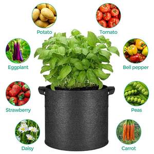 Sac de plantation écologique <span class=keywords><strong>pour</strong></span> plantes, toile de Jute, <span class=keywords><strong>tissu</strong></span> en <span class=keywords><strong>feutre</strong></span>, sacs de culture de pommes de terre Non tissés avec sac de culture en <span class=keywords><strong>feutre</strong></span> - Product Image 2