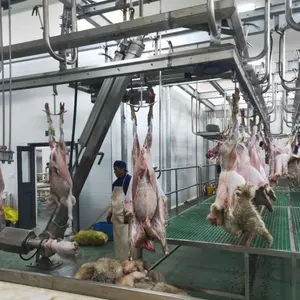 Wfa Schapen Slaughterhouse Apparatuur Lam Geit Abattoir Machine Geit Skinning Machine