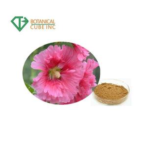B.c.i cung cấp chiết xuất thảo dược tự nhiên 10:1 Marsh Mallow/<span class=keywords><strong>Hollyhock</strong></span>/althaes offcinalis gốc bột - Product Image 5